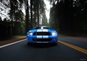 Shelby GT500